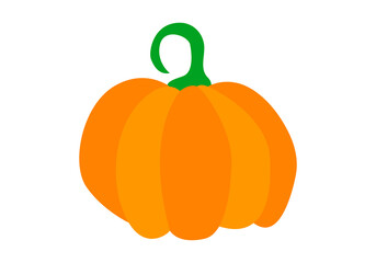 Calabazas de otoño en fondo blanco