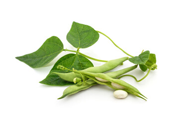 Beans in pods with leaves.