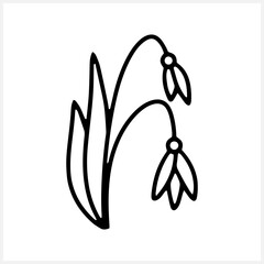 Snowdrop flower isolated Sketch nature Hand drawn clip art Vector stock illustration EPS 10