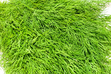 Fresh dill bunch vegetable isolated on white background