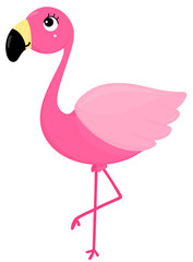 Fototapeta premium Pink Flamingo, Tropical birds 