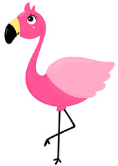Pink Flamingo, Tropical birds 