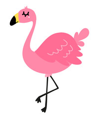 illustration of a pink flamingo, Tropical bird, Cartoon 