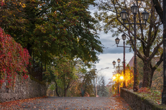 empty street in autumn. urban morning with lanterns. colorful foliage on the ground. red ivy plant on the wall