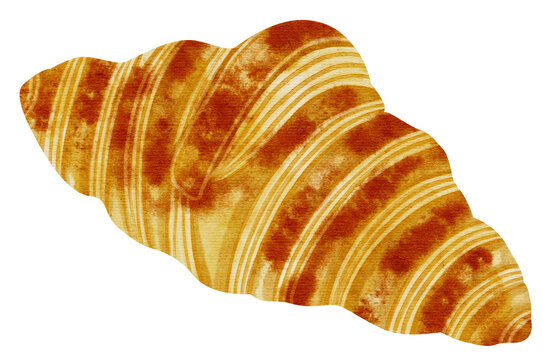 recommend clip art: croissant watercolor