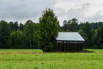 Obraz premium Burtrask, Sweden, A small wooden barn in a field.