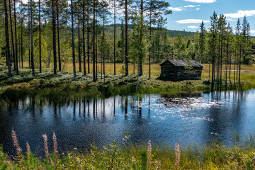 Umea, Sweden A small wooden cabin on a swamp.