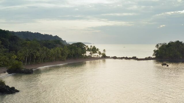 Pacific Coast With Rainforest