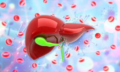 Human Liver, Realistic Human Liver with with gallbladder. 3d illustration.