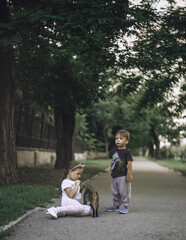 Fototapeta premium Kids and cat
