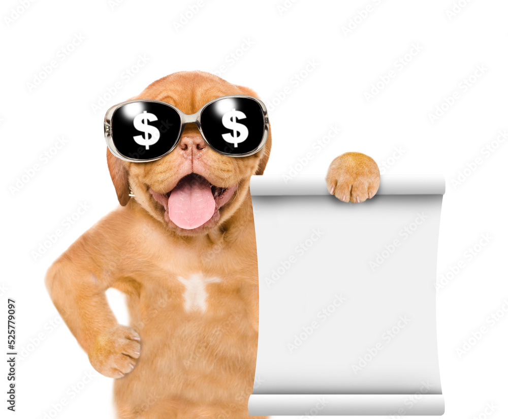 Poster funny dog wearing sunglasses with dollars sign shows empty list. empty space for text