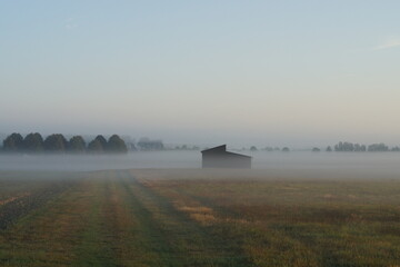 Morgennebel