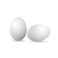 eggs  isolated on white vector illustration