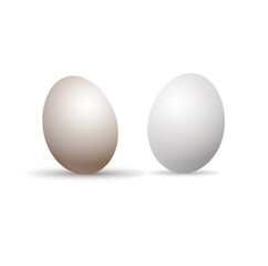 Two eggs on white background. Egg. Breakfast.