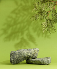 Stone podium with pine tree. Branch, shadow, stone, green background. Display for cosmetic.