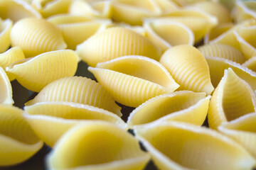 pasta Conchiglioni. yellow pasta. pasta texture. Horizontal image