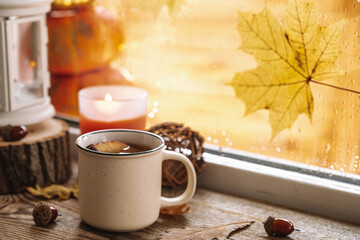  Mug of hot tea with apple and cinnamon on the autumn window. Autumn and fall cozy postcard 