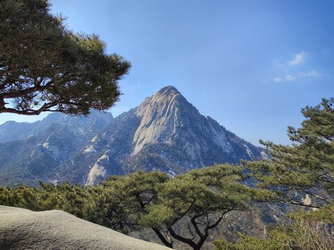 hiking. Korean mountain scenery. Korean mountains. korean national park in the mountains. a small pine tree grows on the top of a mountain on stones. bansai in vivo
