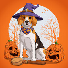 Beagle dog in Halloween disguise sitting on a broom and wearing witch hat with pumpkins on his sides