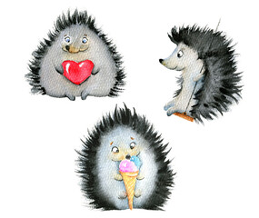 Set of three cute hedgehog illustrations. Watercolor hand-drawn characters for card design, kids prints. Childish painting to decorate kids room and clothes 