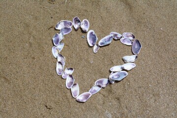 Heart made with beautiful sea shells on wet sand, flat lay