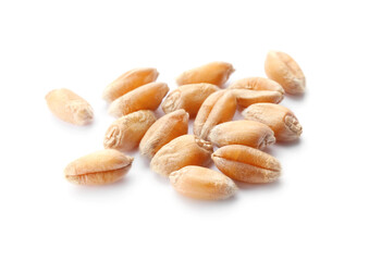 Pile of wheat grains on white background