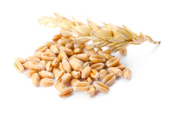 Pile of wheat grains and spike on white background