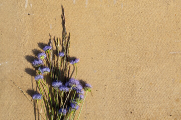 flowers on a table