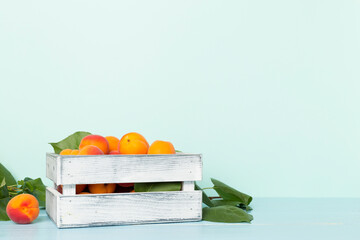 Composition with ripe apricots on wooden table