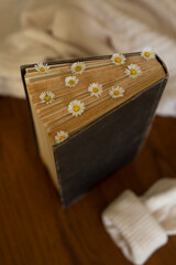 Vintage book with fresh daisies flowers on the table in the arms of a sweater