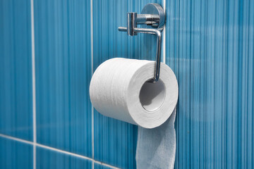 A roll of toilet paper hangs on a metal holder against a blue tile wall. Part of the toilet with...