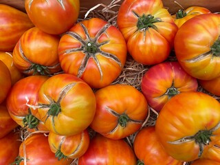 Bio Tomaten auf einem Bauernmarkt