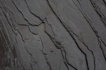 A gray stone slab on the seabed after low tide