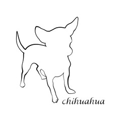 Silhouette of a dog, the inscription chihuahua. Isolated on white background.
