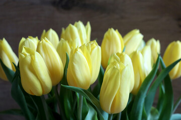 Naklejka premium Beautiful bouquet of yellow tulips. Congratulations on your holiday and Birthday.