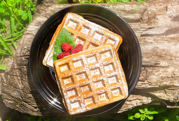 Belgian waffles with raspberries in sunlight. Toasted waffles. Morning breakfast in nature.