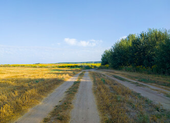 A road in a rural field in autumn. Agro landscape
