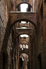 Fototapeta premium Siena