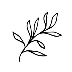 Vector illustration of a twig with long leaves. The laconic, minimalistic illustration of a twig can be used for the design of cosmetic packages