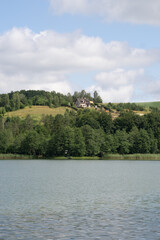 lake in the forest