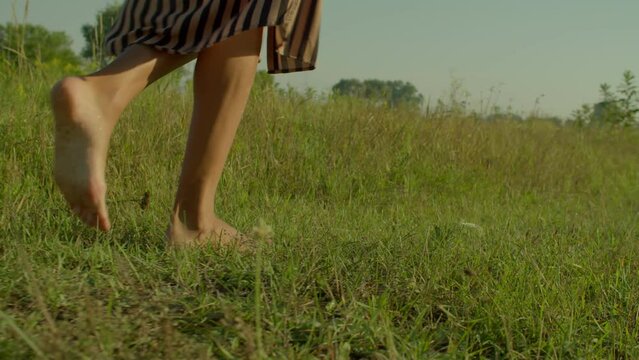Close-up of slim barefoot black female legs gracefully walking on green grass field in ray of warm summer sunrise. Side view.