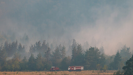 Firefighter and fire in the forest. Firefighter car inside the forest