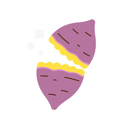 Roasted sweet potato. Roasted sweet potato on white background. Japanese Sweet potato.