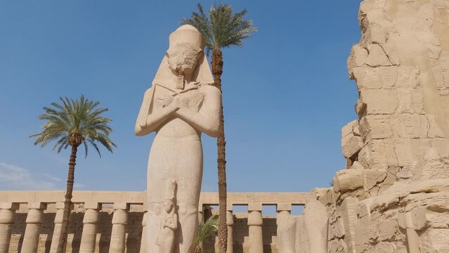 Pharaoh statue with Palm trees in background, Blue sky, Karnak Temple. Tilt down shot