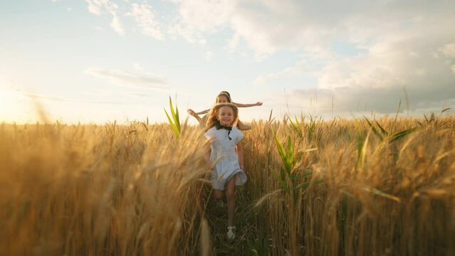three cute little girls are running on golden wheat or rye in sunny summer, happy and carefree childhood