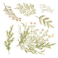 Forest Animals Tiny Flowers Plants Berries Delicate Beige Flowers Rabbit Birds Patterns for Children's Albums of Clothes