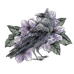 Watercolor raven bird and hellebore flowers print.Colorful halloween illustration. Perfect for greetings, invitations, manufacture wrapping paper, textile and web design. Watercolor  gothic print.