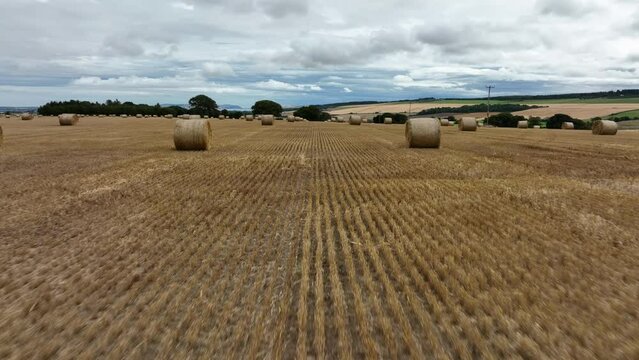 Aerial view of a wheat field on the black isle near the Cromarty firth and Inverness in the north east highlands of Scotland