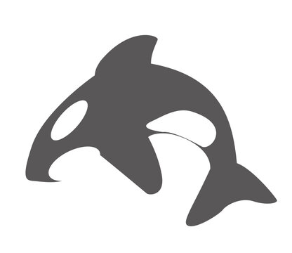 Orca