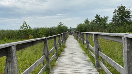 Fototapeta na wymiar wooden footbridge passing through peat bog and swamp